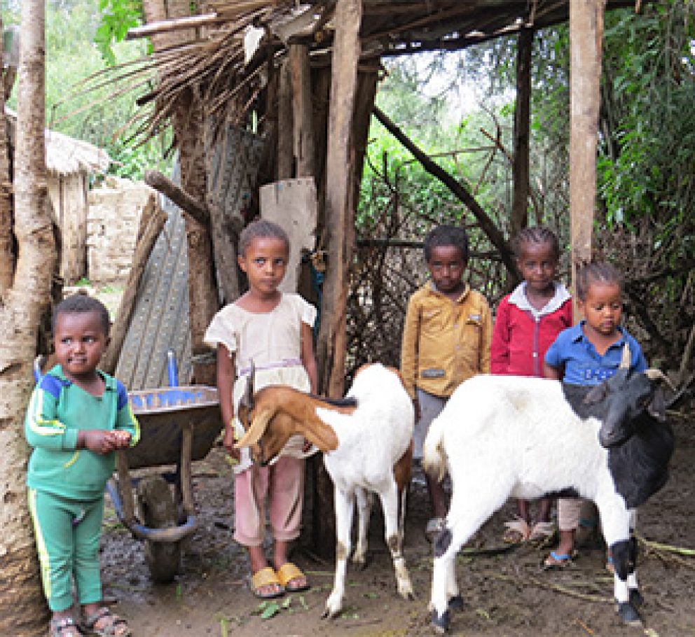 Nuevo Proyecto de la Fundación Sendera de la mano de la Fundación Renta 4